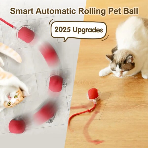Smart Interactive Pet Ball - Image 3
