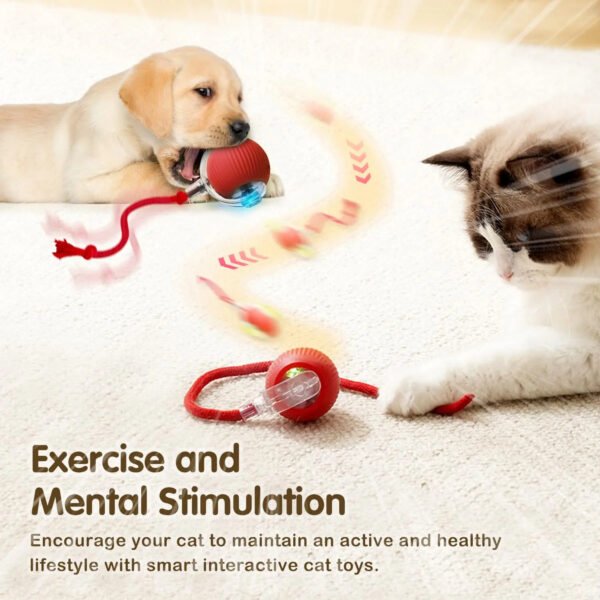 Smart Interactive Pet Ball - Image 4