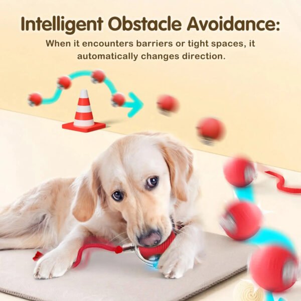 Smart Interactive Pet Ball - Image 5