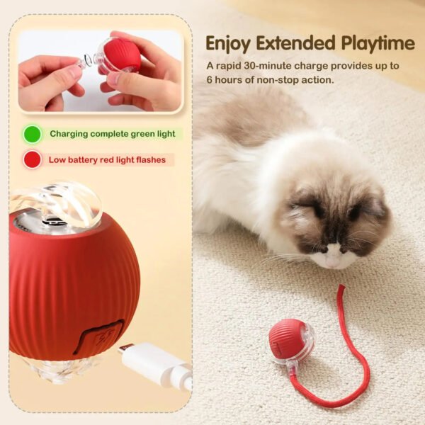 Smart Interactive Pet Ball - Image 6